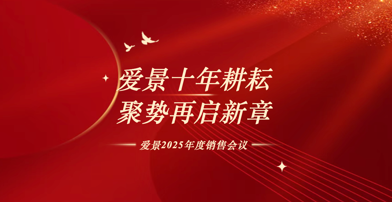 爱景十年耕耘 图片 聚势再启新章